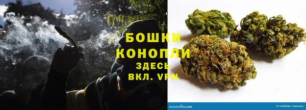 mdpv Инсар