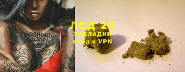 mdpv Инсар