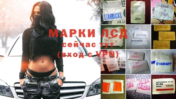 mdpv Инсар