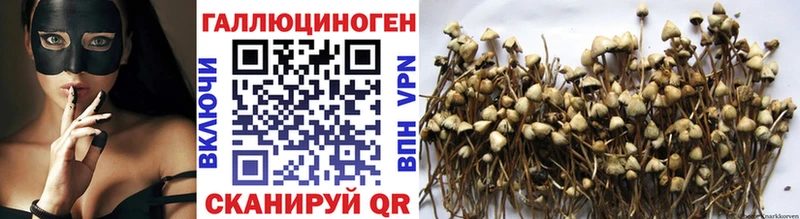 Галлюциногенные грибы GOLDEN TEACHER  Купить  Дорогобуж 